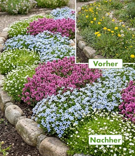 baldur-garten-bodendecker-set-gegen-unkraut-9er image 7
