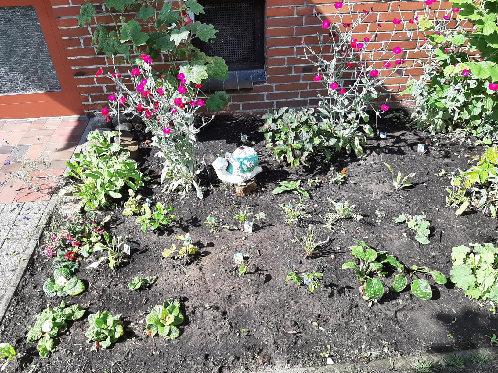 Bunt gemischt, alles fit