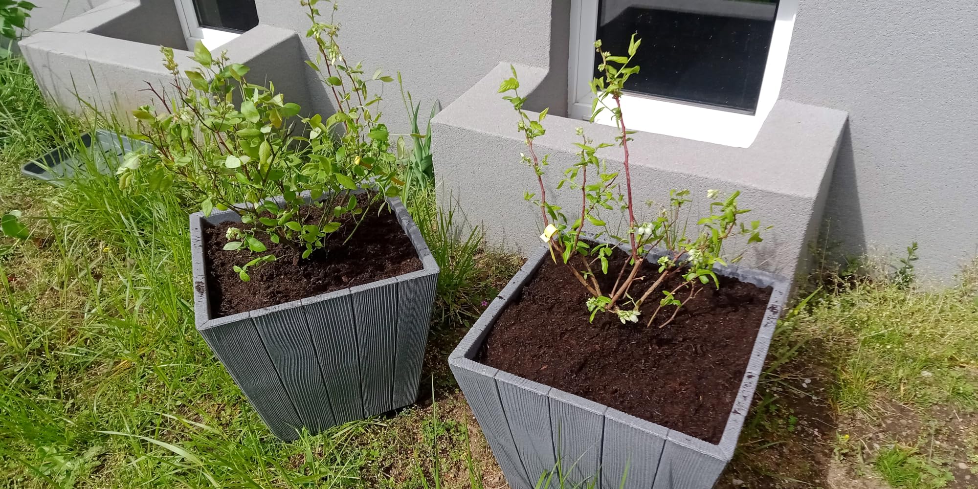 Reiche Ernte erwartet