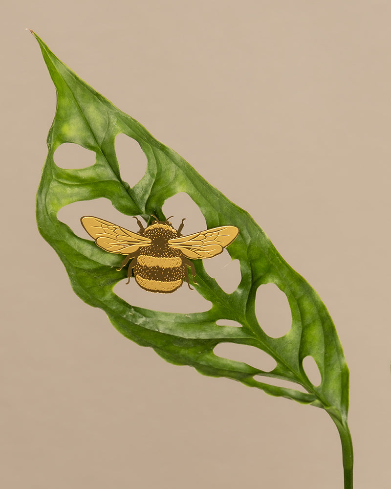 feey-hummel-pflanzenanh-nger-deko-f-r-zimmerpflanzen image 3
