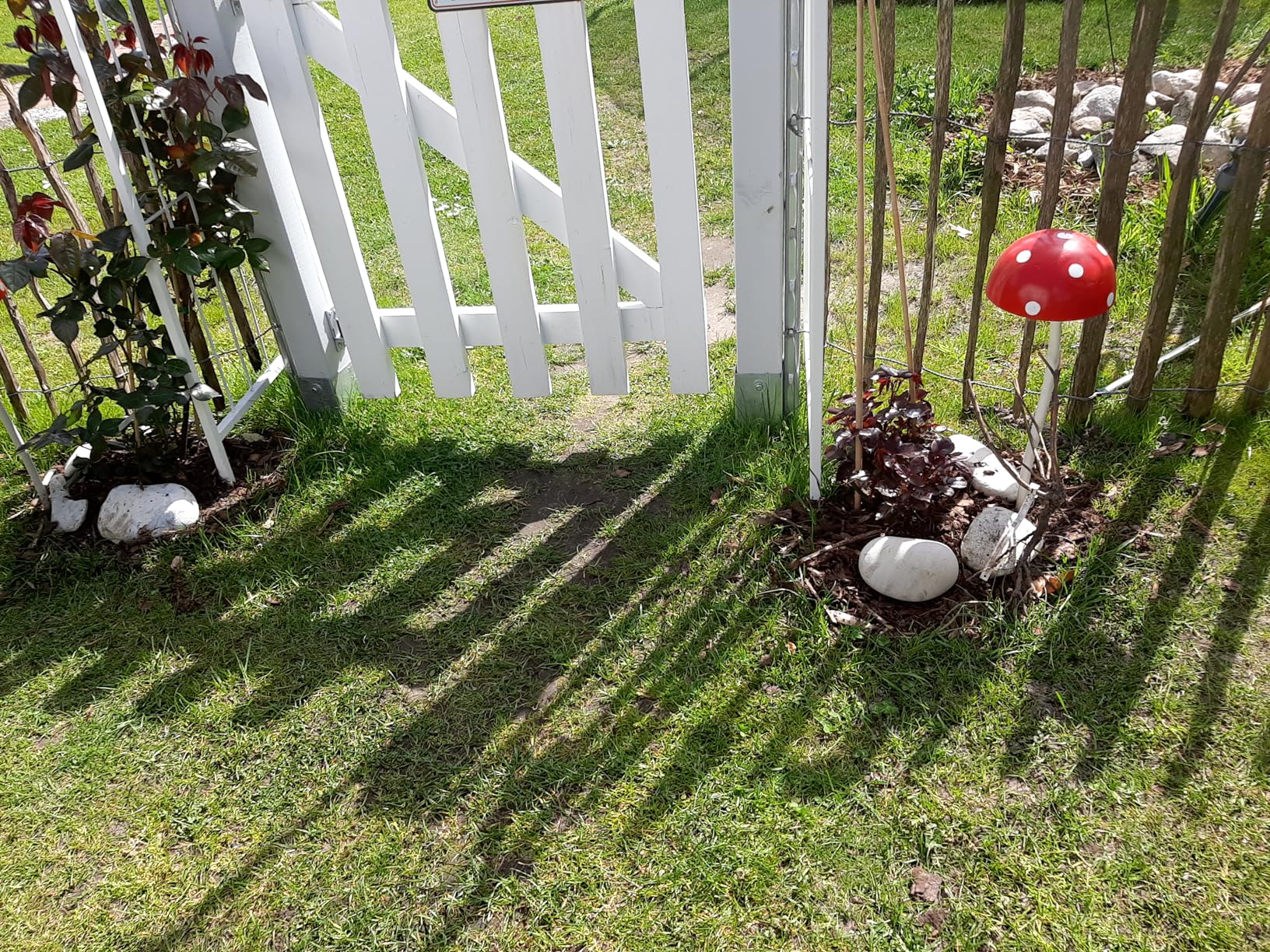Wunderschöne Blüten