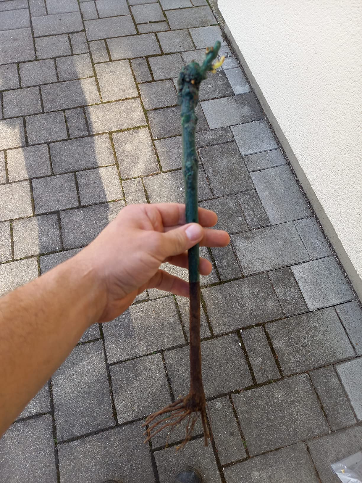 Klein aber fein