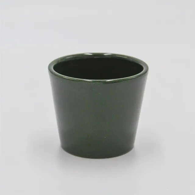 pasiora-bertopf-tannengr-n-f-r-6cm-sukkulenten image 1