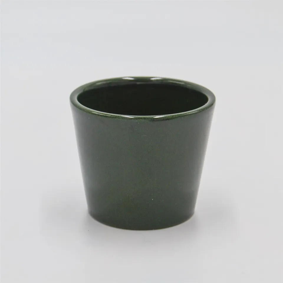 pasiora-bertopf-tannengr-n-f-r-6cm-sukkulenten image 1