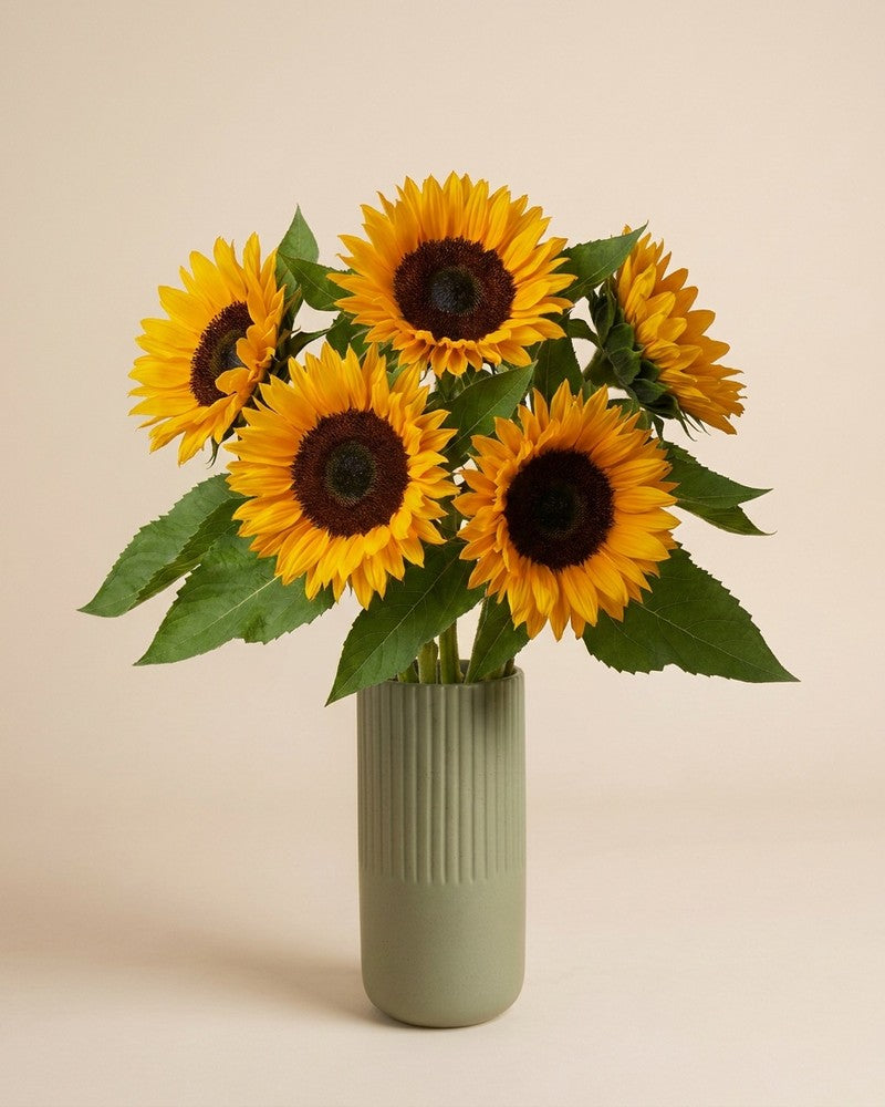 feey-sonnenblumen-schnittblumen-frische-helianthus image 6