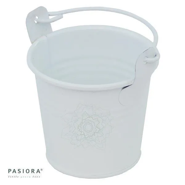 pasiora-zinkeimer-weiss-bertopf-f-r-5-5-cm-sukkulenten image 1