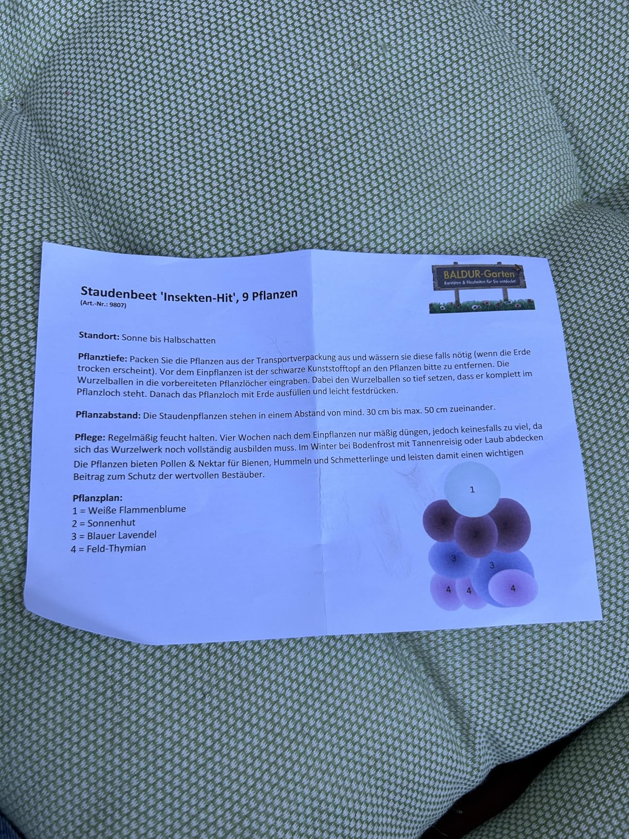 Schön, eine etwas mickrig