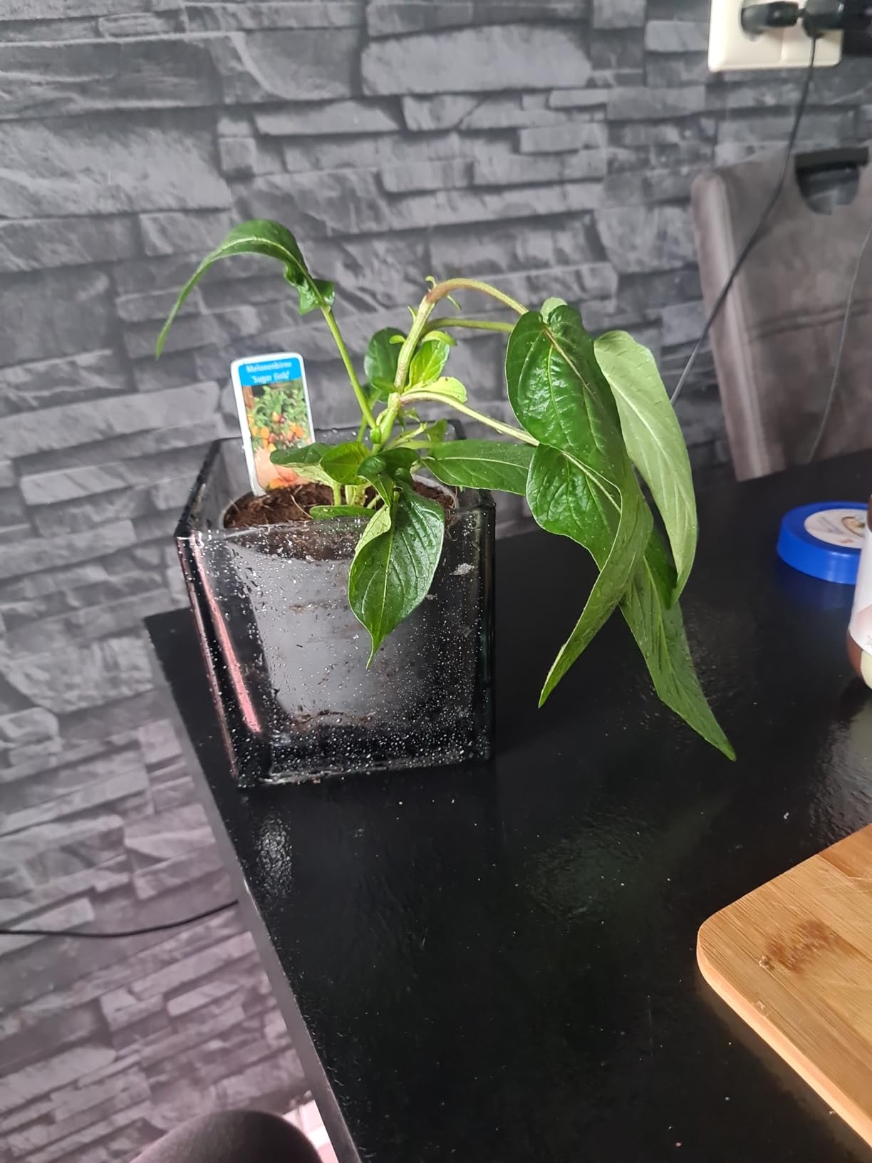 Exot im Garten