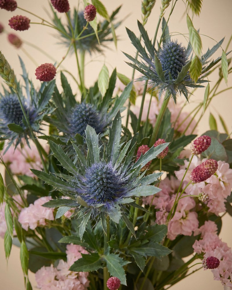 feey-bergluft-blumenstrau-trockenblumen-mix image 2