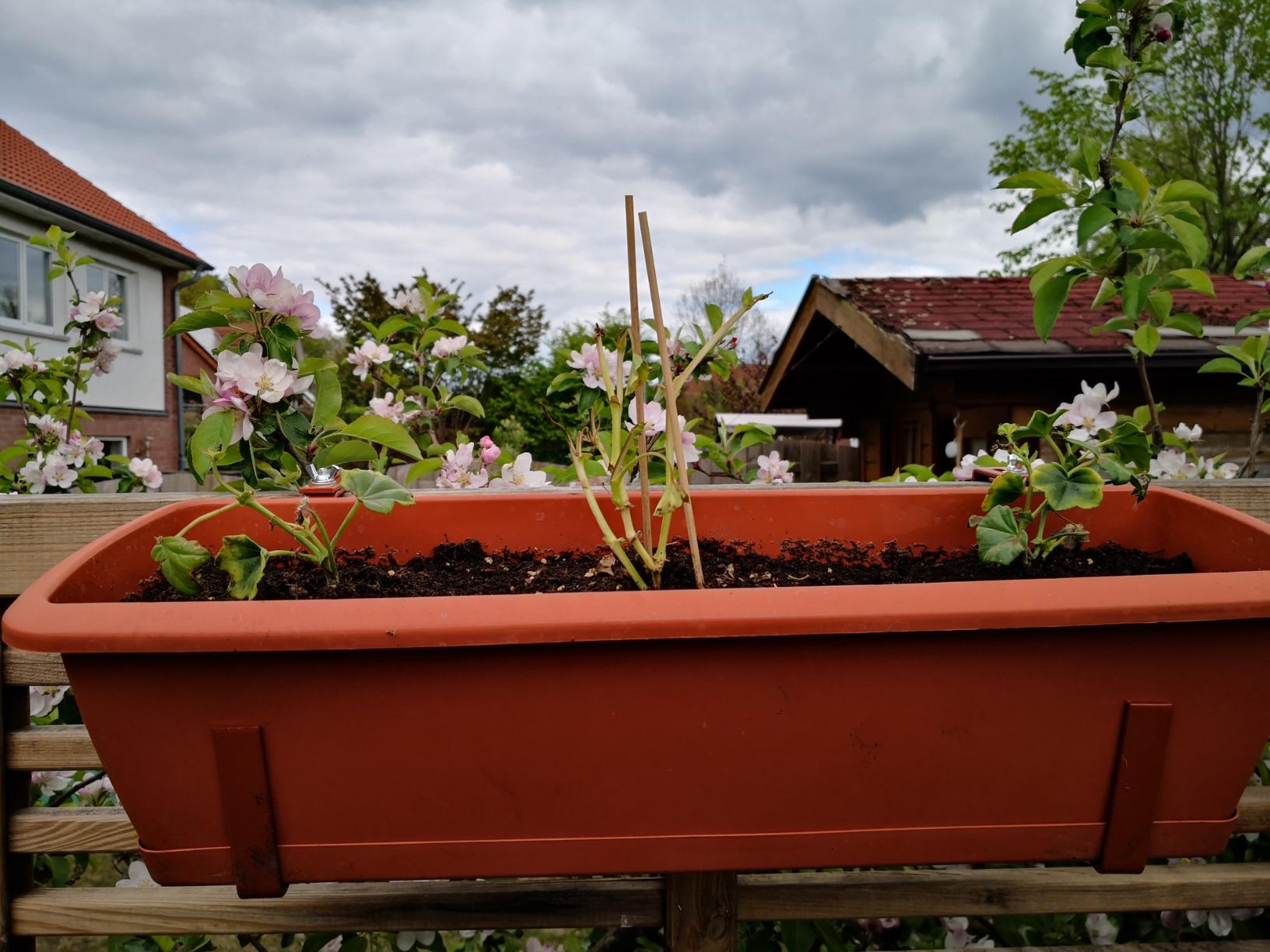 Transport hat geschadet