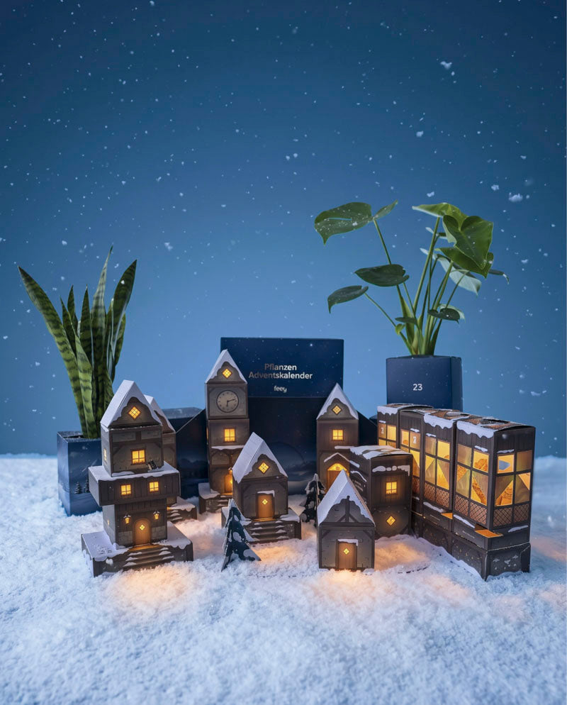 feey-pflanzen-adventskalender-winterdorf-im-abendblau image 8