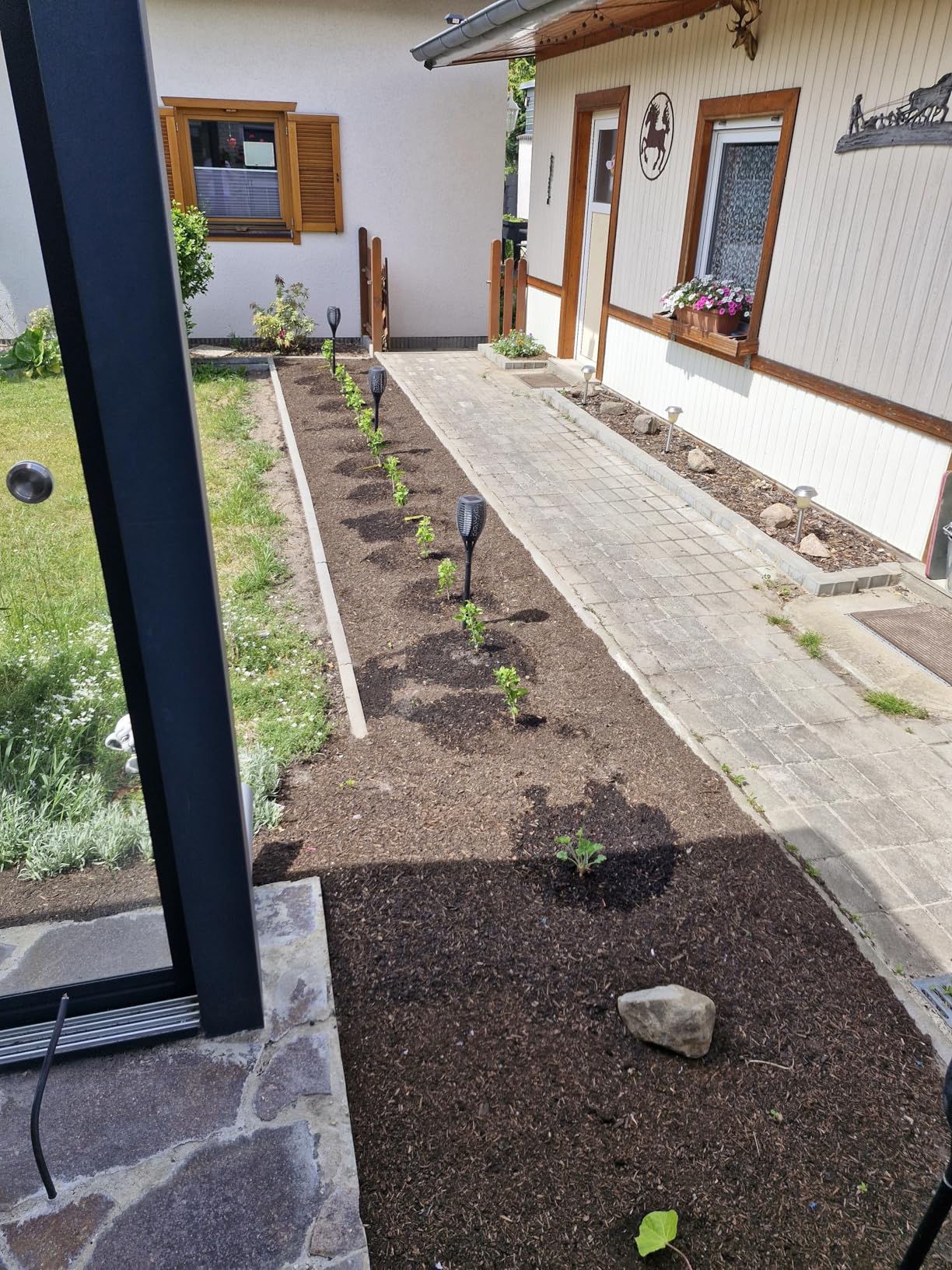 Perfekt für unsere Hecke