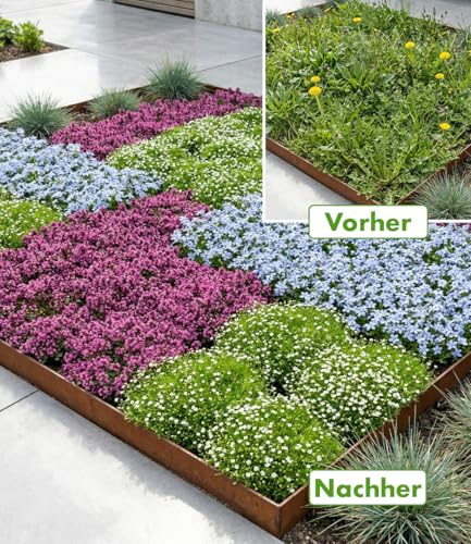 baldur-garten-bodendecker-set-gegen-unkraut-9er image 8