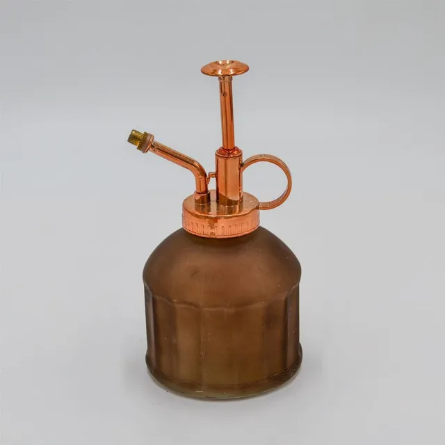 pasiora-glas-spr-hflasche-danielle-pflanzenspr-her image 1