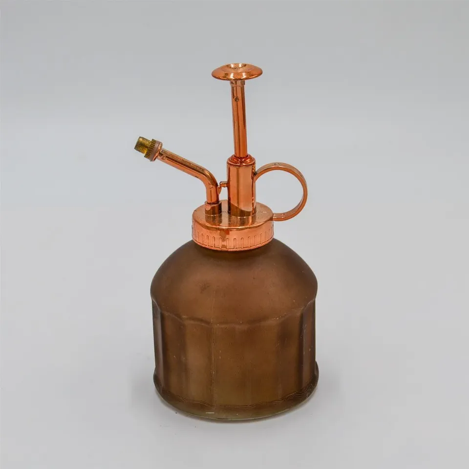 pasiora-glas-spr-hflasche-danielle-pflanzenspr-her image 1