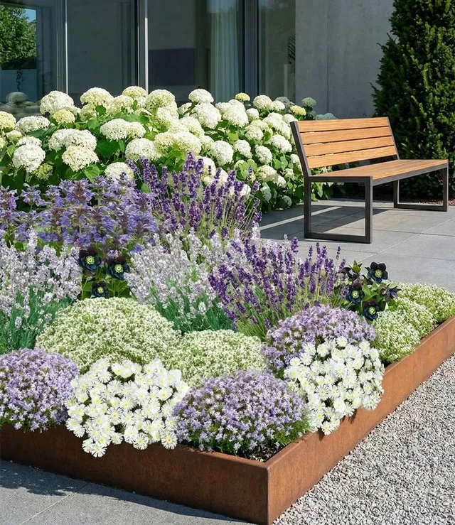 baldur-garten-19er-blau-wei-es-staudenbeet-pflanzen-im-9x9-cm-topf image 1