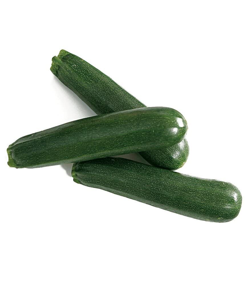 baldur-garten-veredelte-zucchini-kimber-f1-2-pflanzen image 3