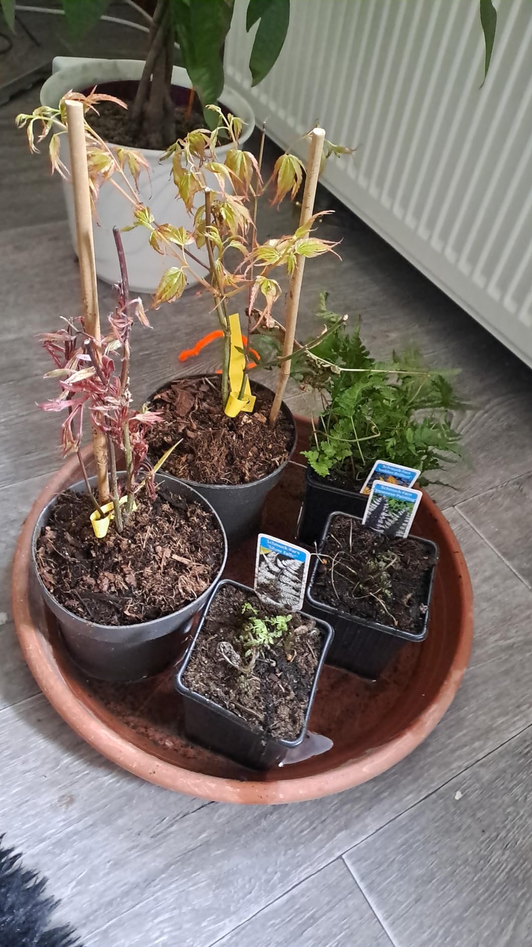Alles gut, Lieferung etwas langsam