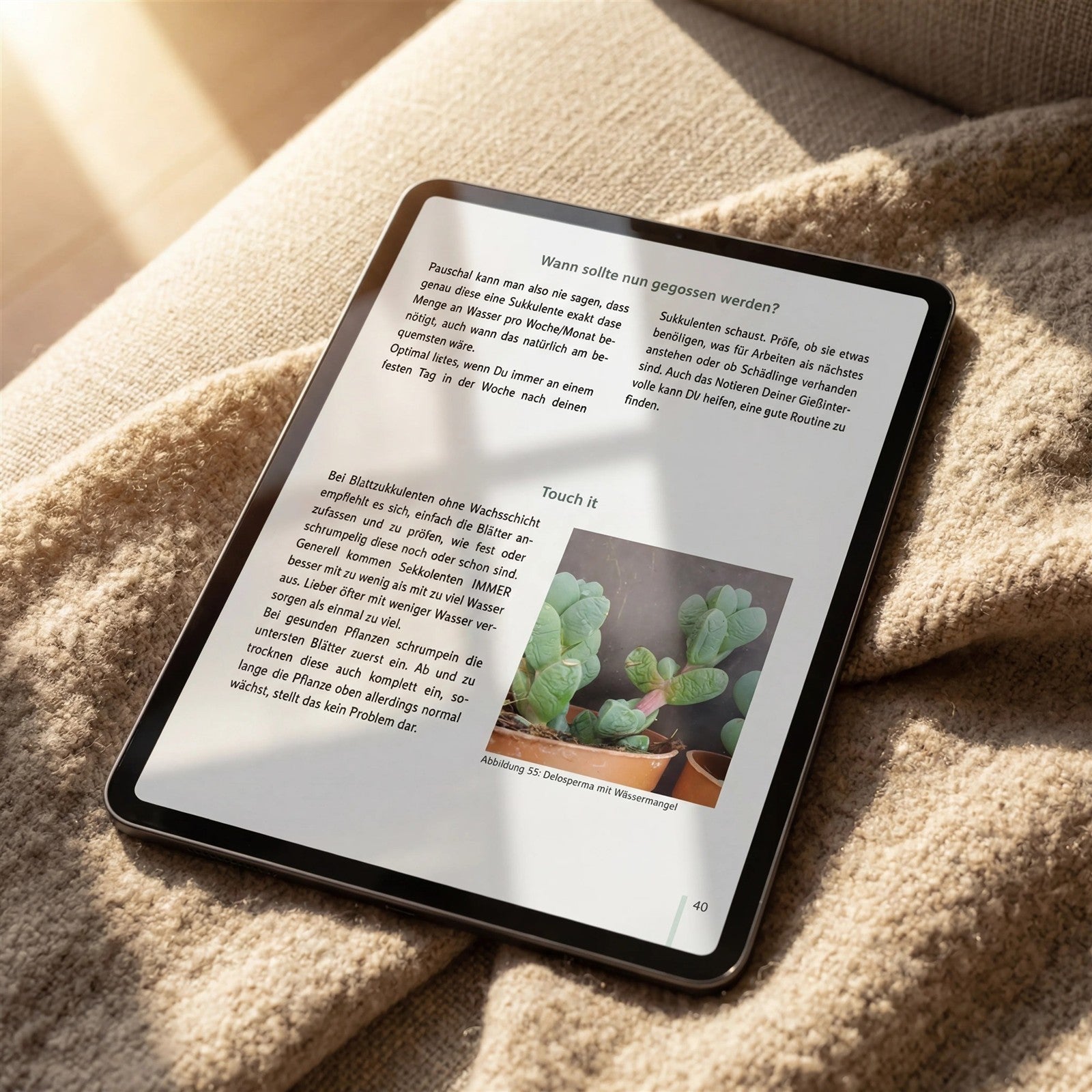 pasiora-sukkulenten-richtig-gie-en-60-seiten-guide-ebook image 3