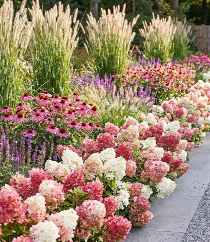 baldur-garten-beet-kollektion-groundbreaker-friends-14-winterharte-stauden-und-b image 2