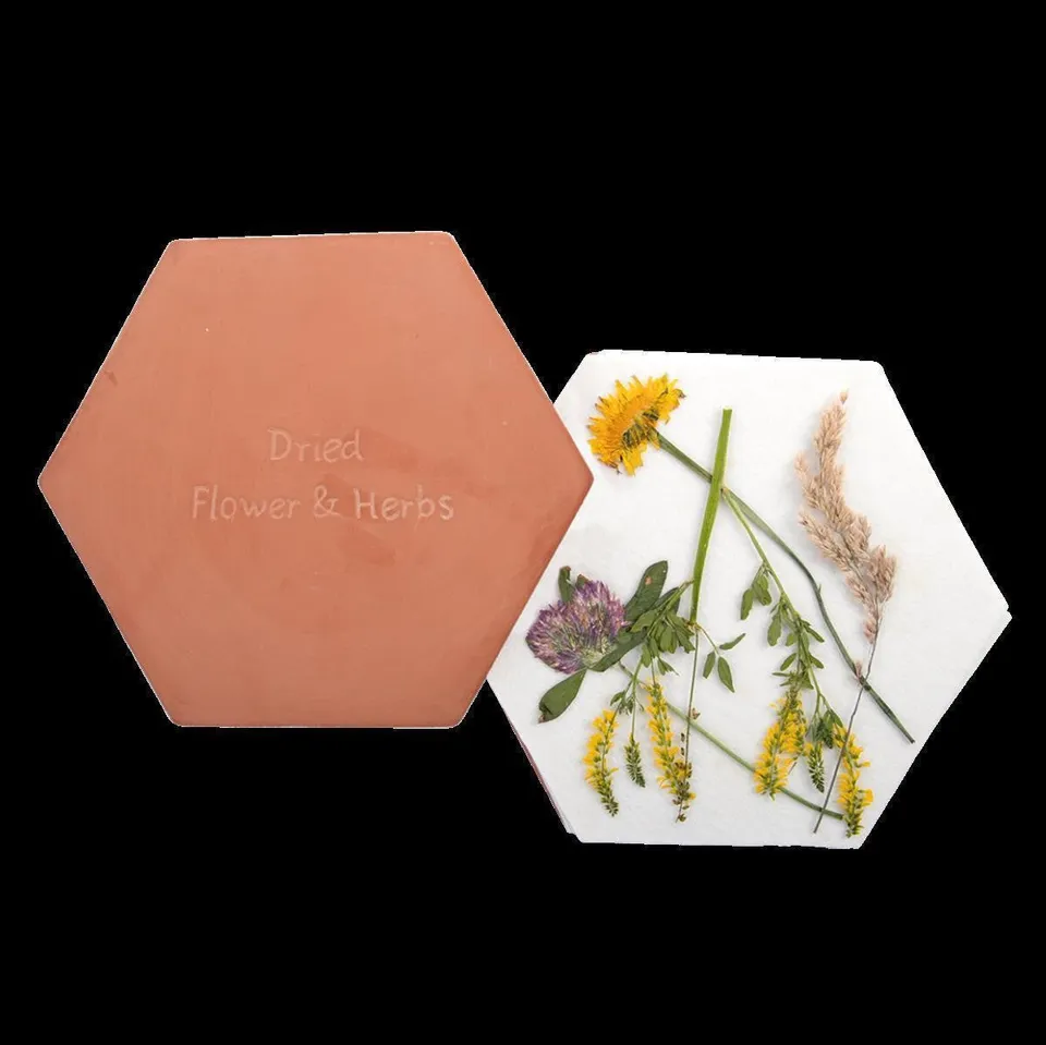 pasiora-mikrowellen-blumen-und-kr-uterpresse-bastelwerkzeug image 1