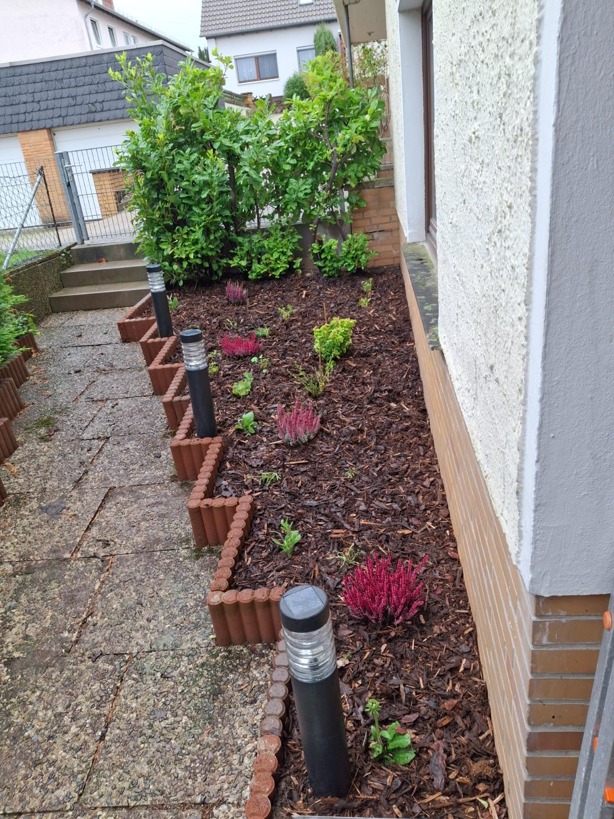 Pflegeleicht und dankbar