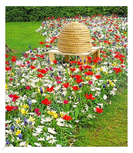 baldur-garten-fr-hlings-zwiebelmix-bienenkorb-50-zwiebeln image 3