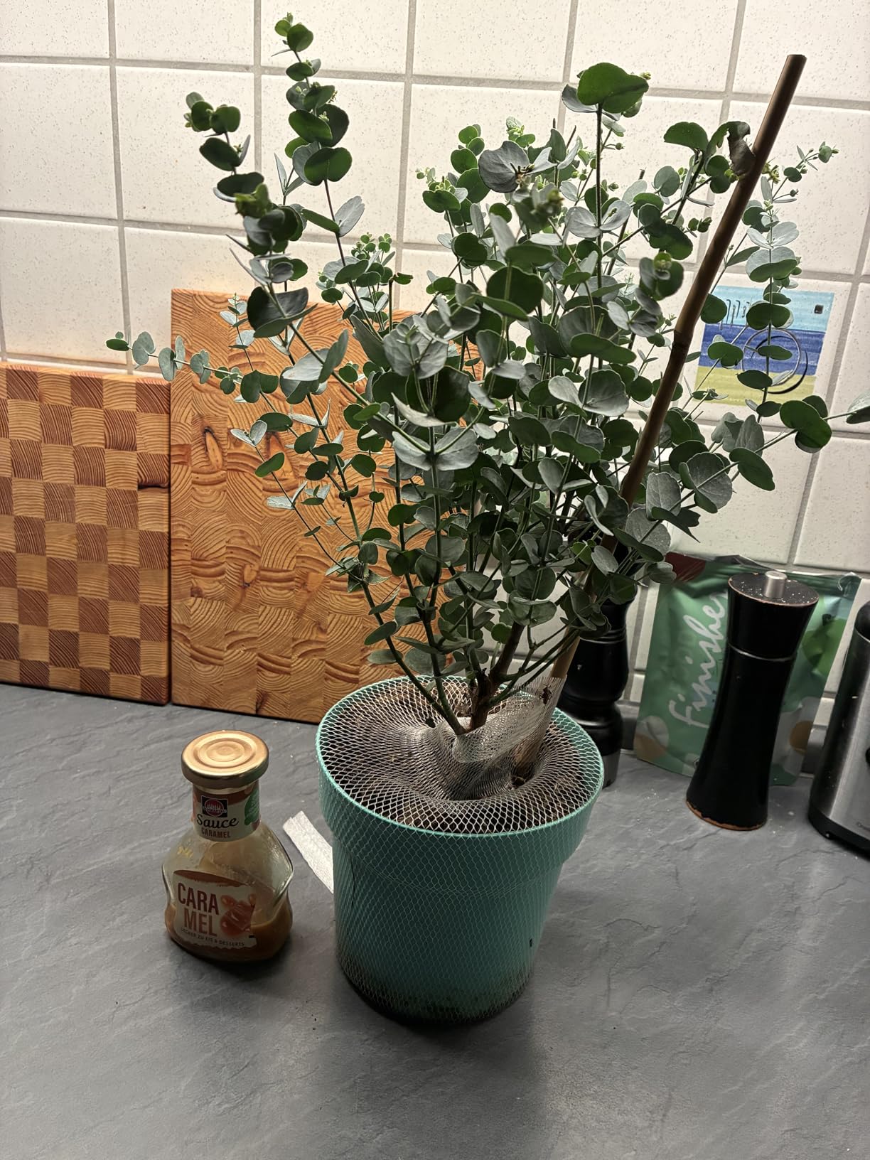 Gesund angekommen