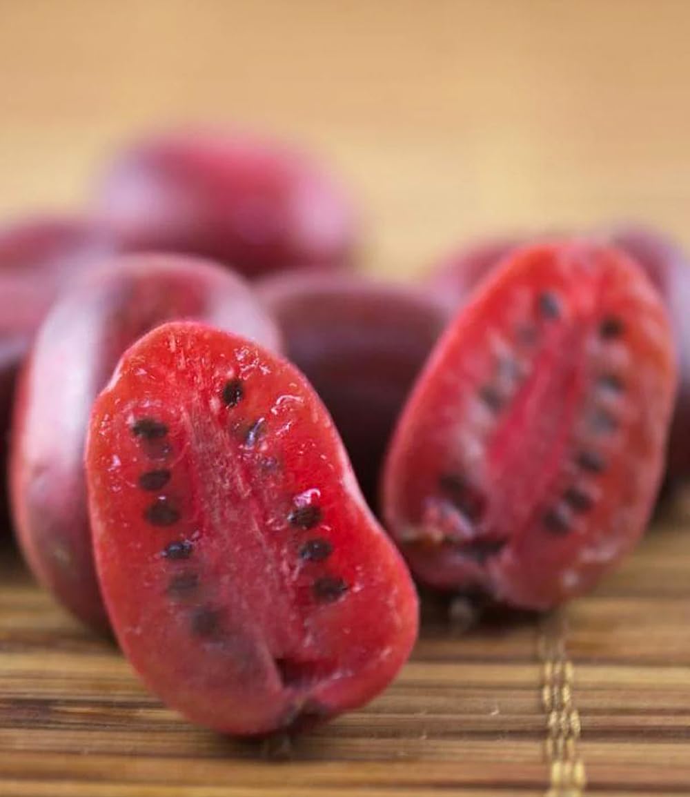 baldur-garten-kiwi-ken-s-red-pflanze-im-9x9-cm-topf image 2