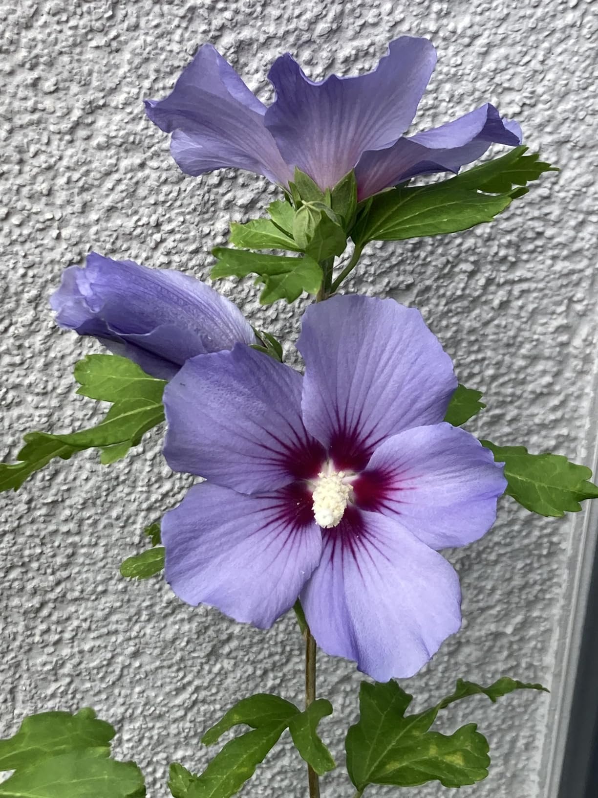 Farbe ist der Hammer
