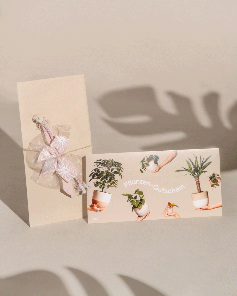 feey-gutschein-physischer-geschenkgutschein-per-briefversand image 7