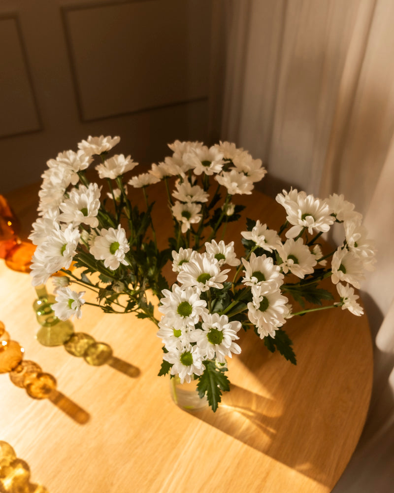 feey-chrysanthemen-wei-schnittblumen image 2