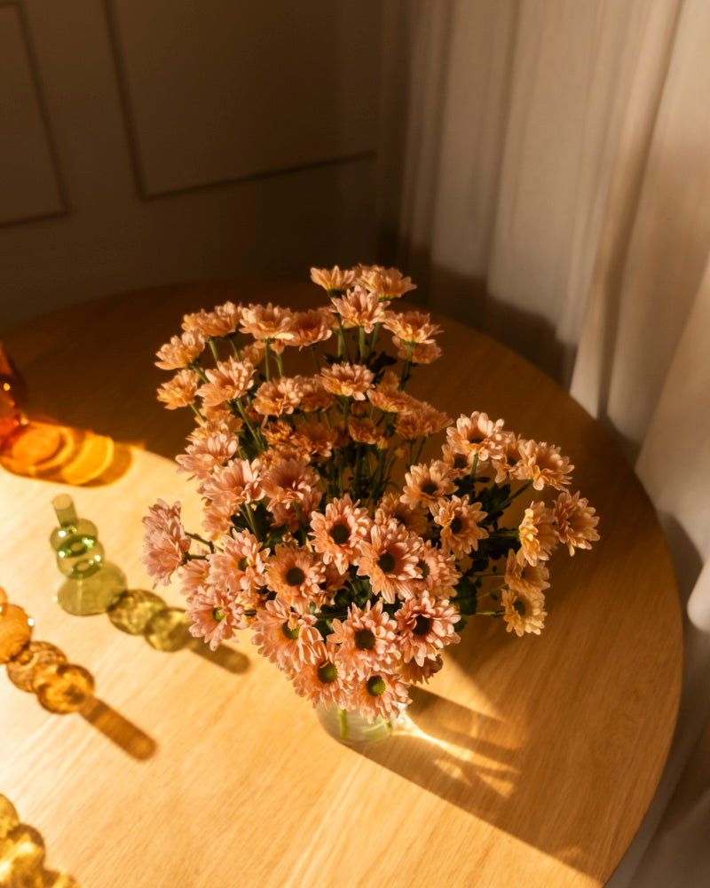 feey-chrysanthemen-pfirsich-blumen image 3