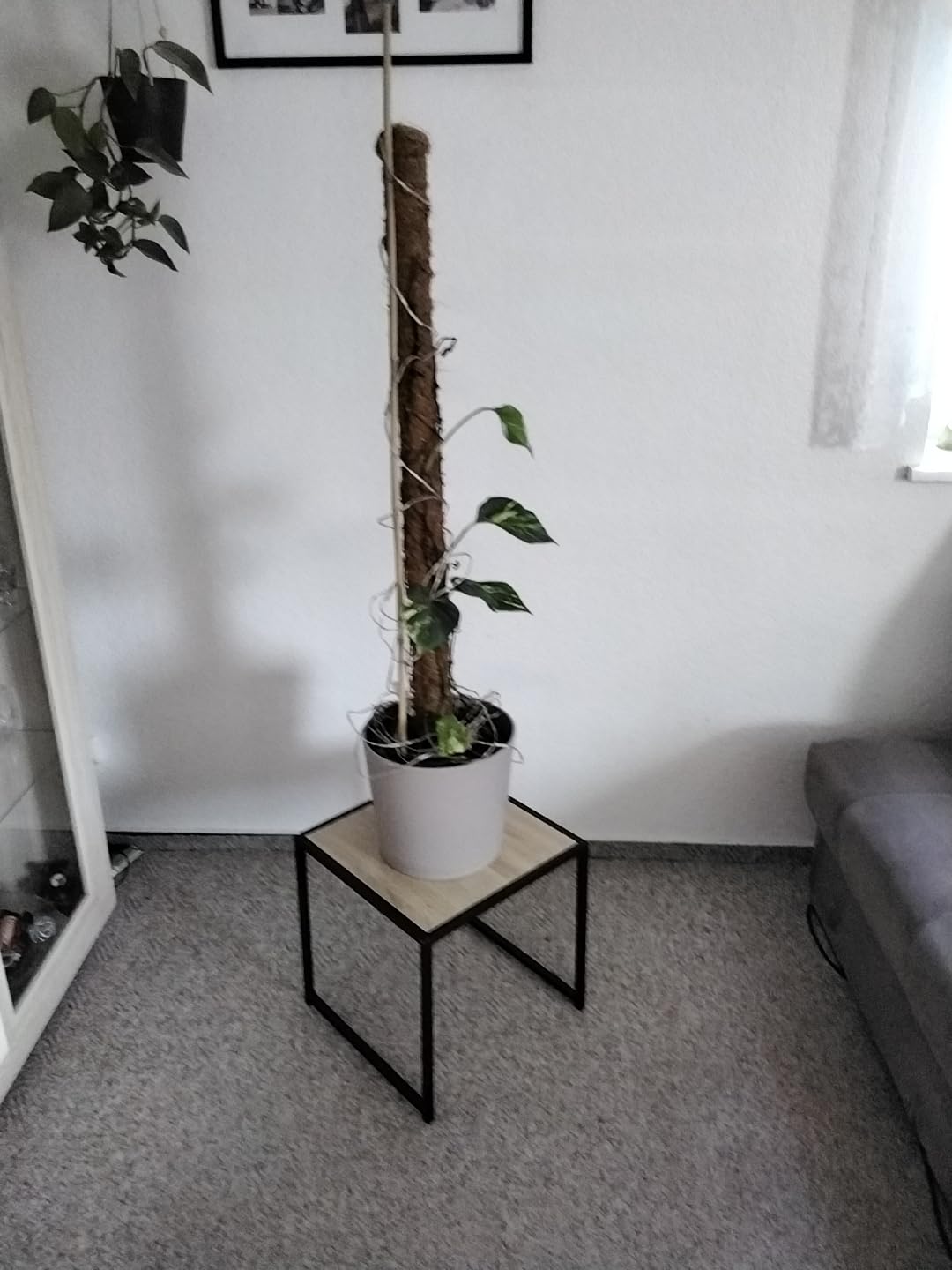 Groß, aber Topf klein