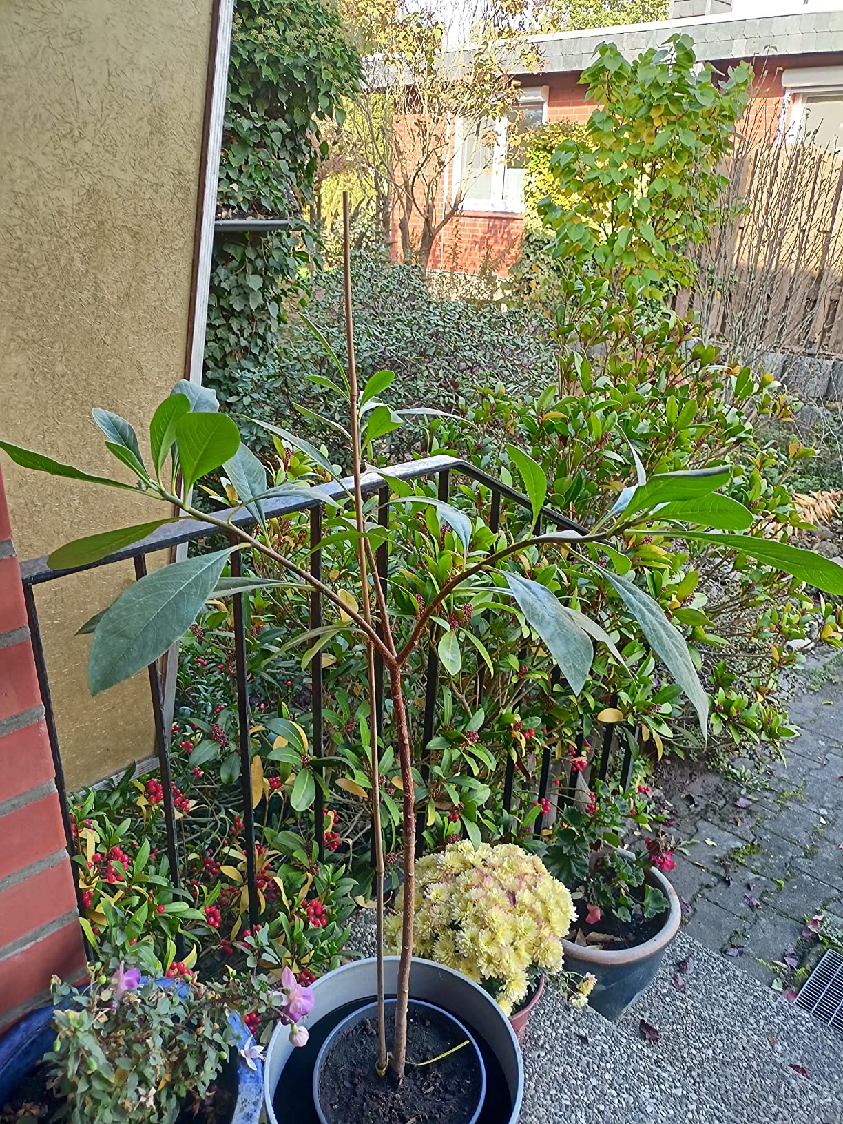 Gesund angekommen