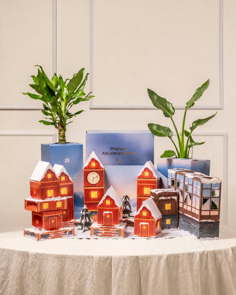 feey-pflanzen-adventskalender-winterdorf-im-morgenrot image 1