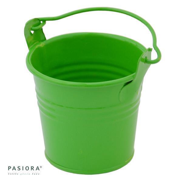 pasiora-zinkeimer-gr-n-bertopf-6cm-f-r-5-5cm-sukkulenten image 1