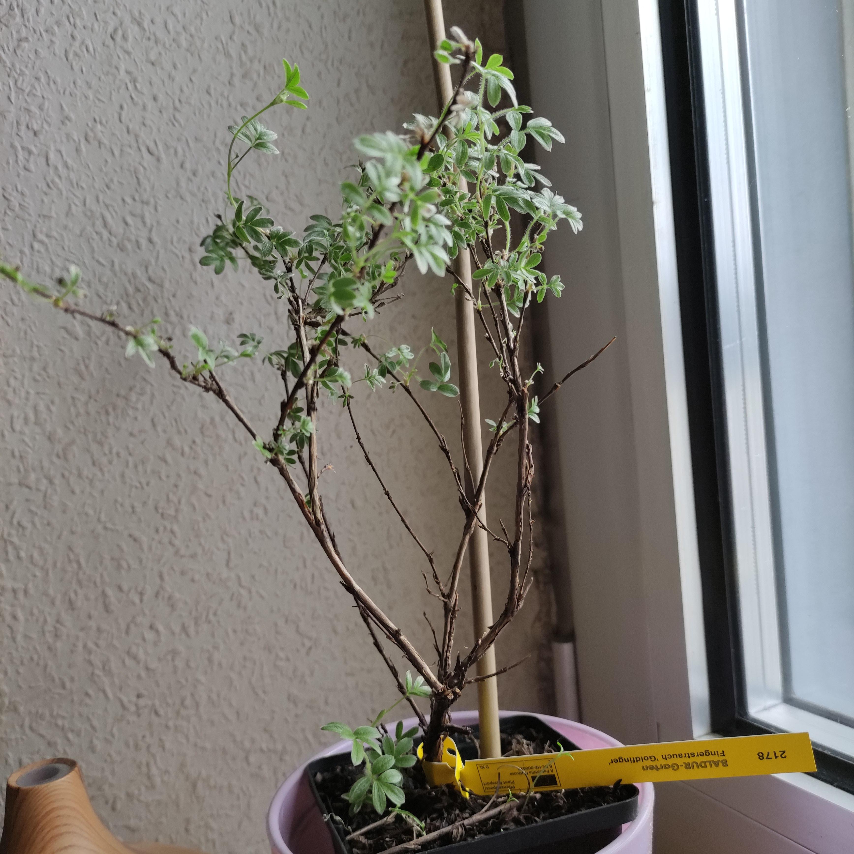 Kleiner Start, große Wirkung