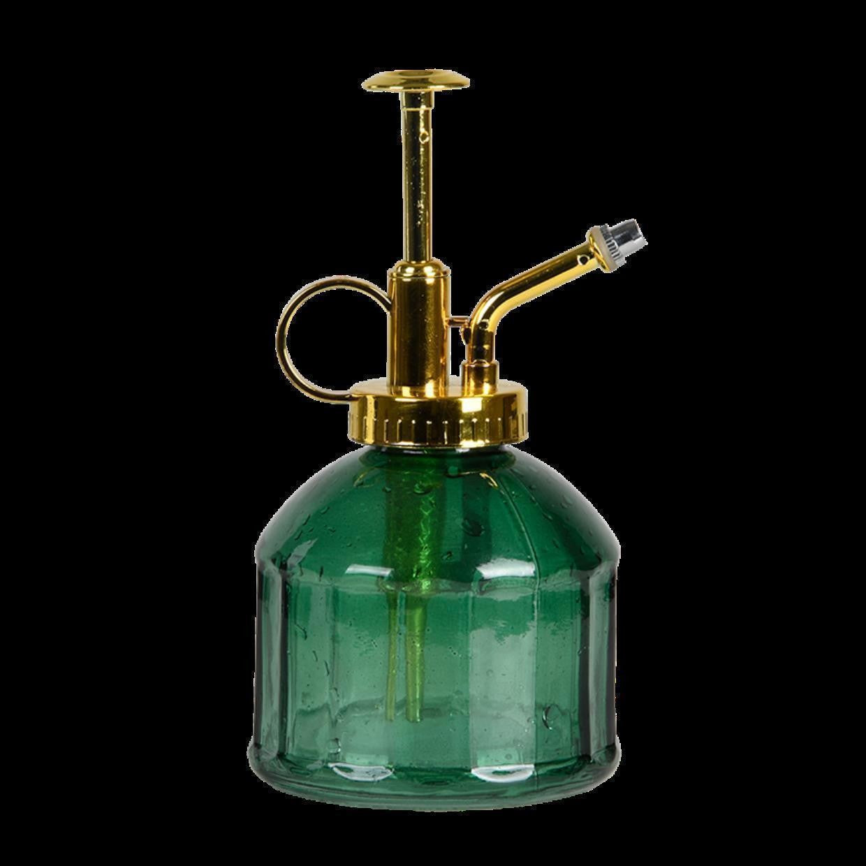 pasiora-vintage-glas-spr-hflasche-f-r-pflanzen image 1