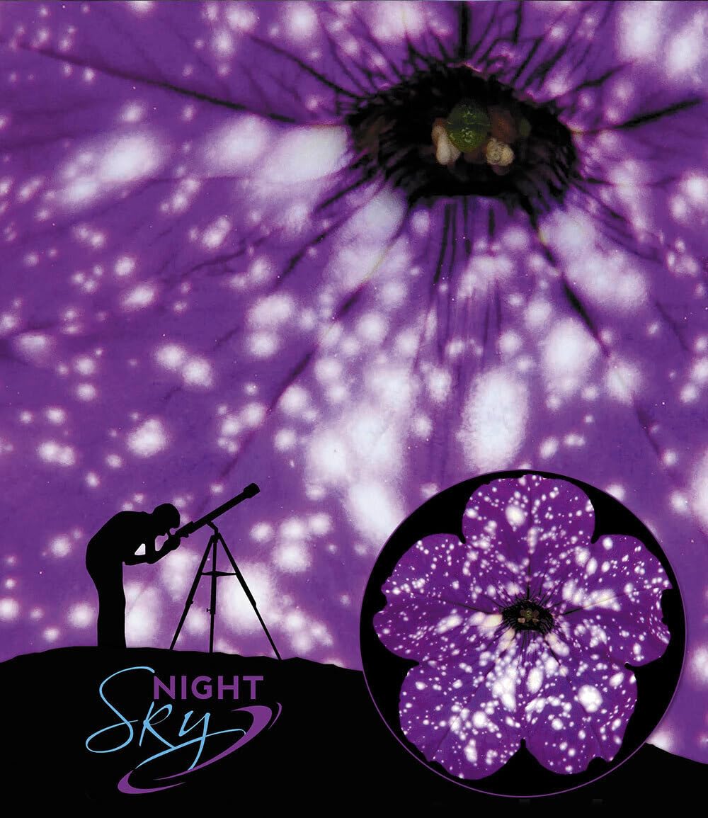 baldur-garten-h-nge-petunie-night-sky-3-pflanzen-im-10-5-cm-topf image 2