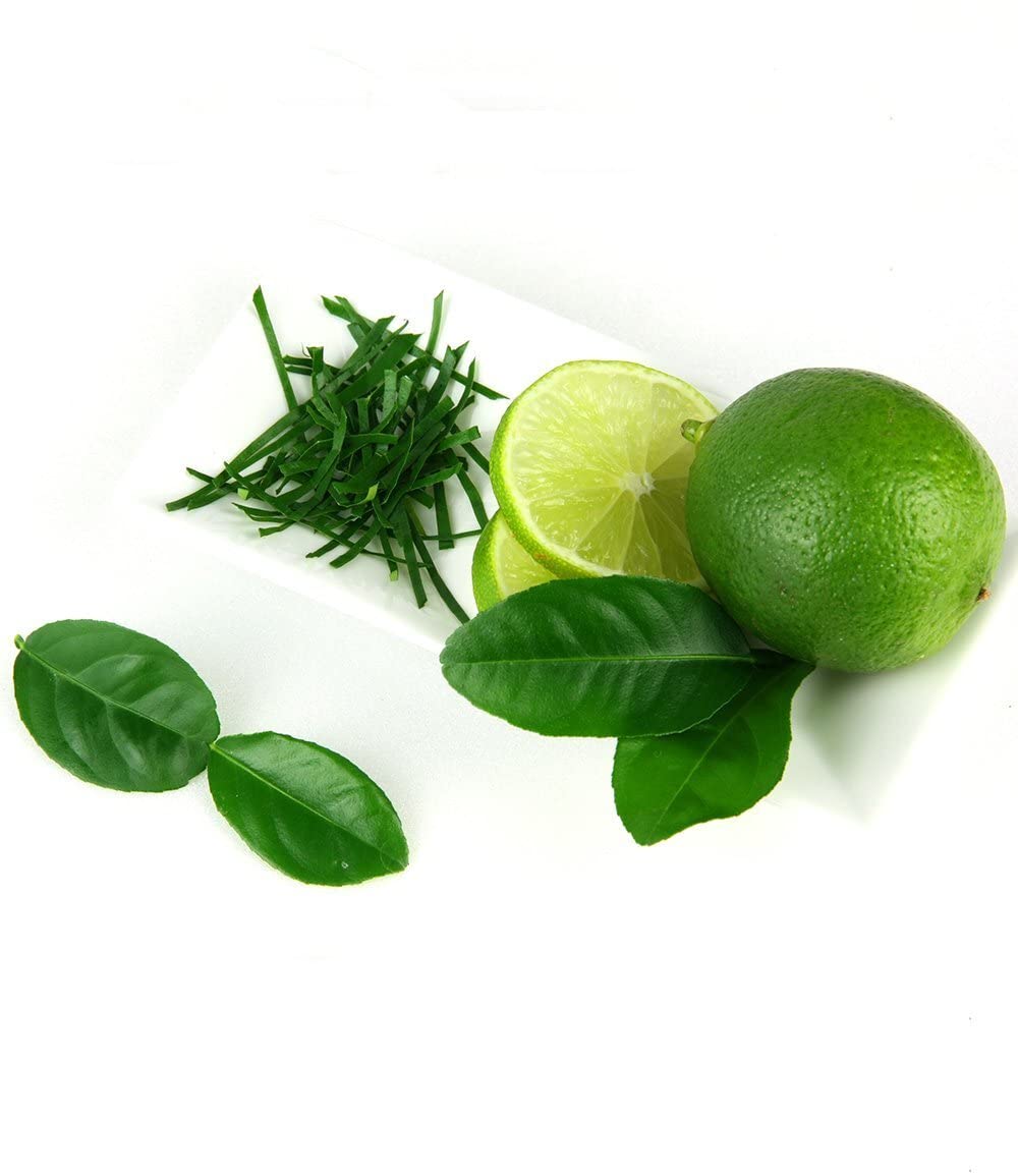 baldur-garten-kaffir-limette-citrus-hystrix-im-12-cm-topf image 2