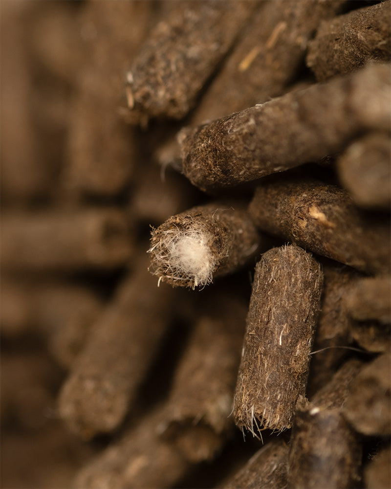 feey-biod-nger-pellets-bio-d-nger-f-r-zimmerpflanzen image 8
