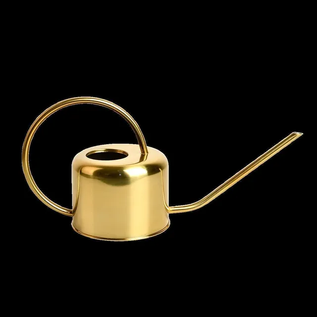 pasiora-gie-kanne-gold-zimmergie-kanne-mit-schmaler-t-lle image 1