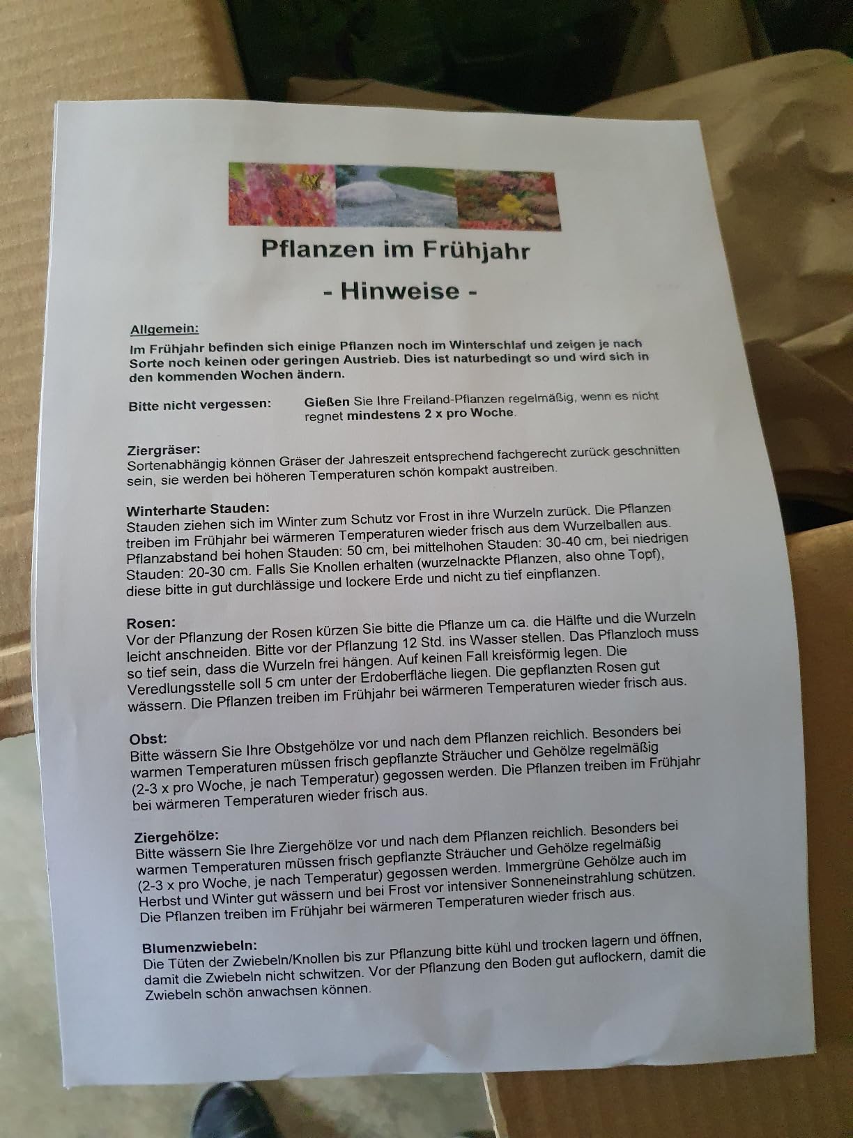 Dachbegrünung klappt