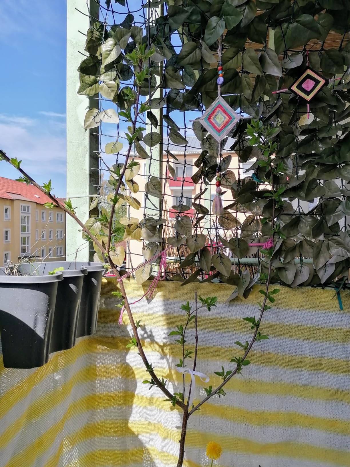 Selbstfruchtbar stimmt