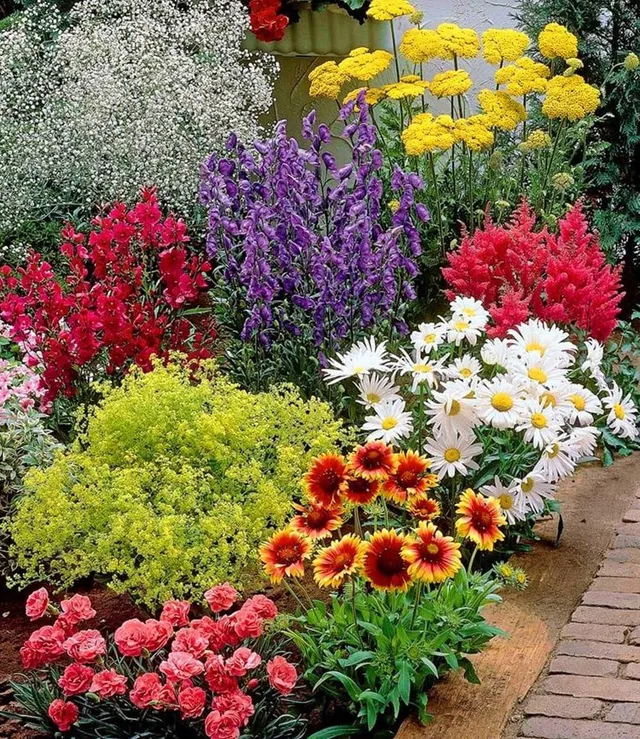 baldur-garten-bunter-staudengarten-18er-set-im-7x7-cm-topf image 1
