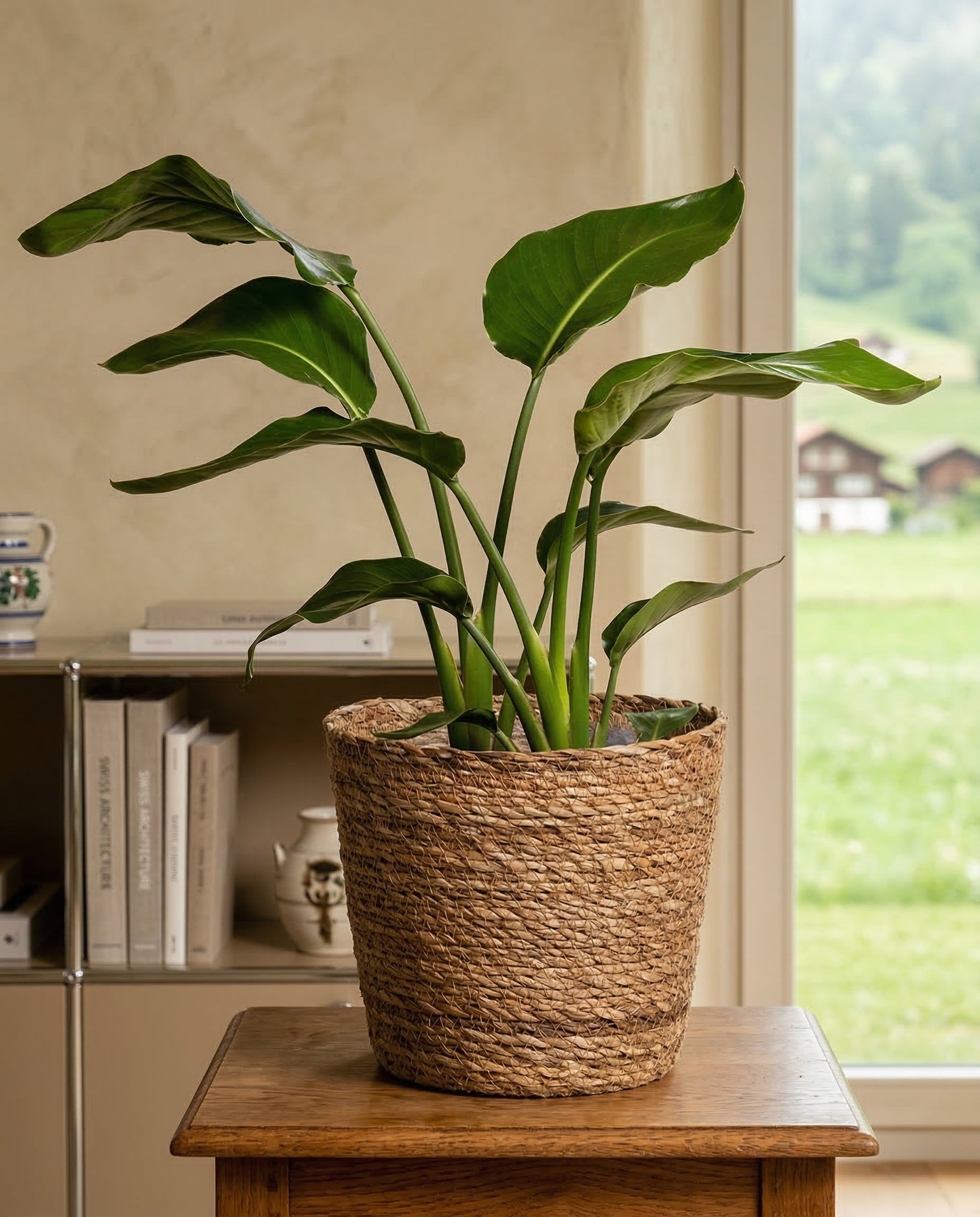 feey-pflanzenkorb-kesat-22-cm-bertopf-aus-seegras image 7