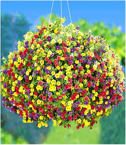baldur-garten-zaubergl-ckchen-carneval-3-farben-im-topf image 4