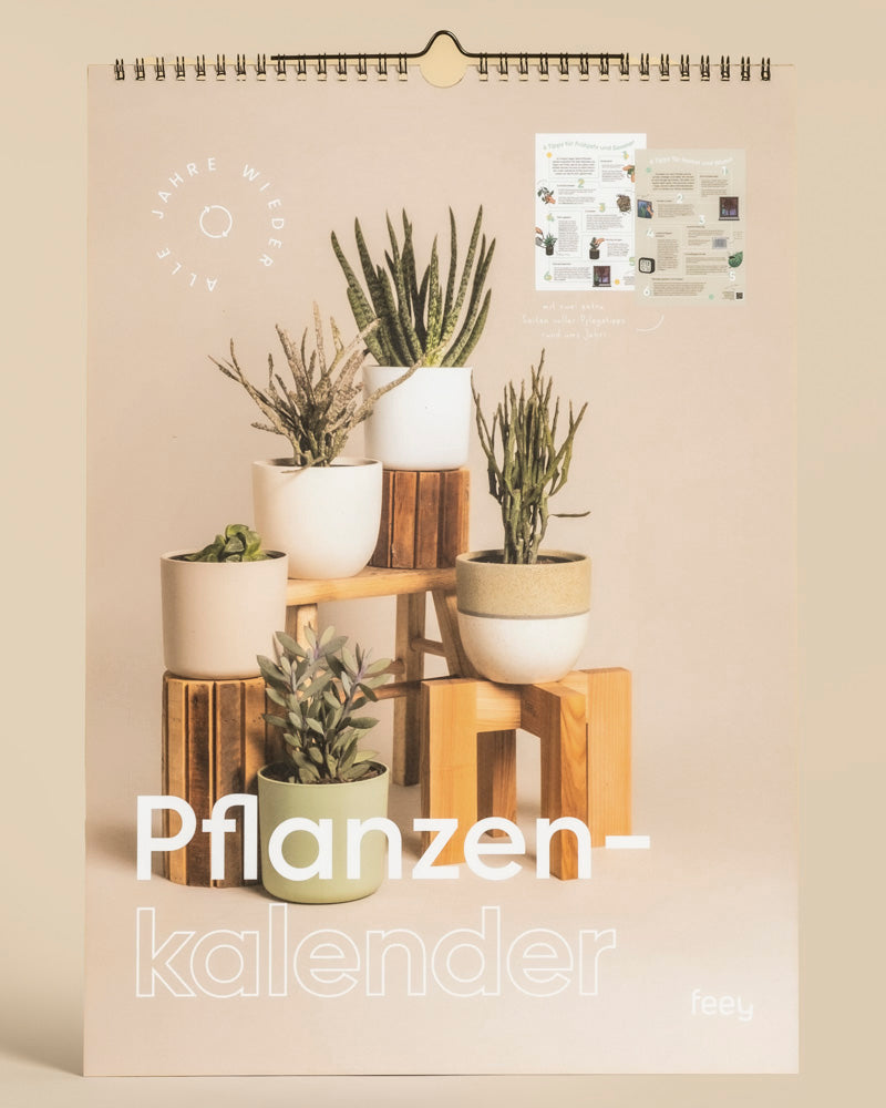 feey-pflanzenkalender-immerw-hrender-a3-kalender-mit-pflegetipps image 7