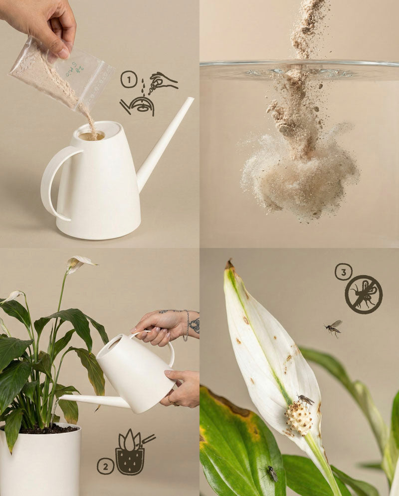 feey-nematoden-gegen-trauerm-cken-n-tzlinge image 6